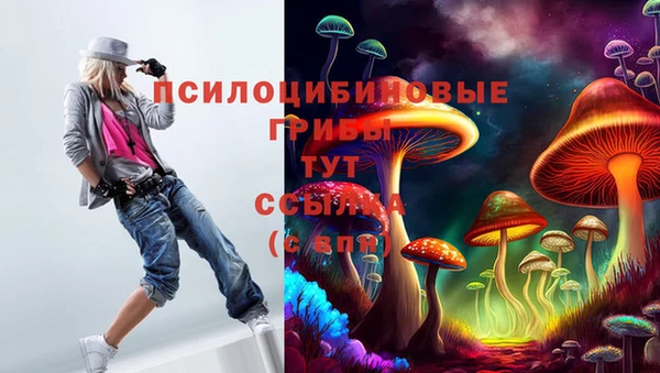 ПСИЛОЦИБИНОВЫЕ ГРИБЫ Алексин